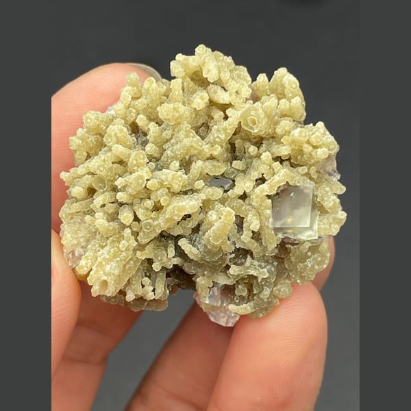Clear fluorite cubes in pale mica from Inner Mongolia — complete view