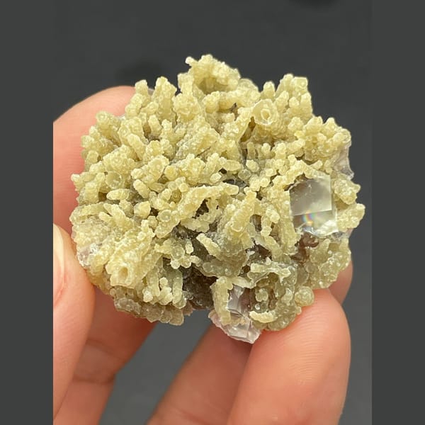 Clear fluorite cubes in pale mica from Inner Mongolia — alternate view