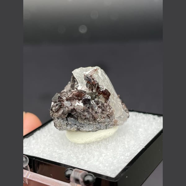 Small brown axinite crystals with quartz from Pakistan — alternate view