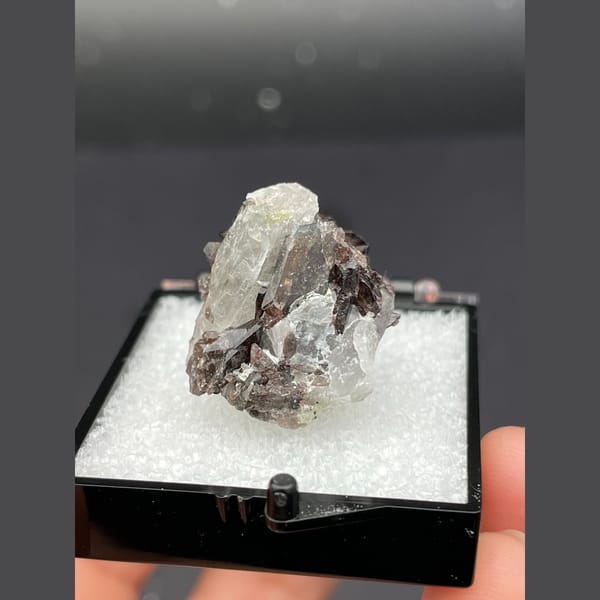Small brown axinite crystals with quartz from Pakistan — alternate view