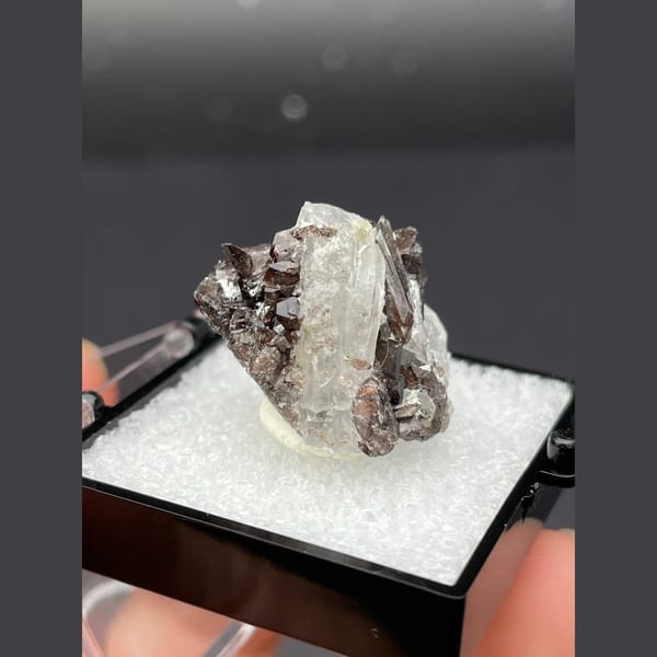 Small brown axinite crystals with quartz from Pakistan — detail view