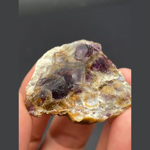 Dark purple fluorite cubes on golden matrix from Inner Mongolia — alternate view
