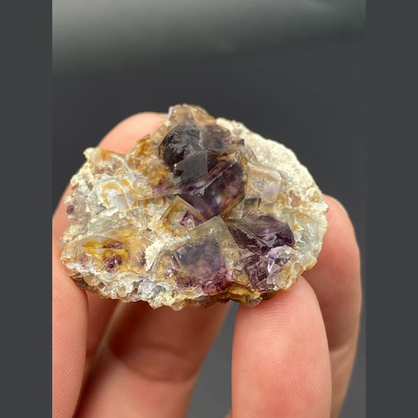 Dark purple fluorite cubes on golden matrix from Inner Mongolia — detail view
