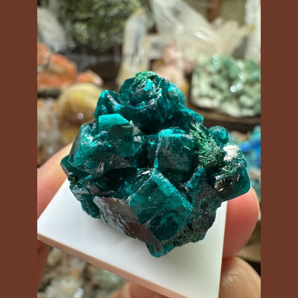 Green Dioptase Crystals DR Congo 3.0 cm — complete view