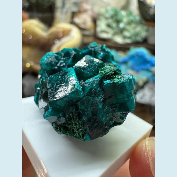 Green Dioptase Crystals DR Congo 3.0 cm — alternate view