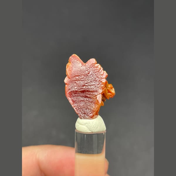 Skeletal red-orange vanadinite crystal group from Morocco — complete view