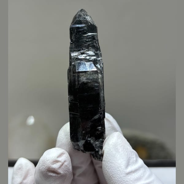 Black Skeletal Quartz Floater Yunnan 6.8 cm — complete view
