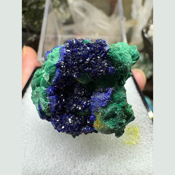 Azurite Rosettes on Malachite 3.5 cm — complete view