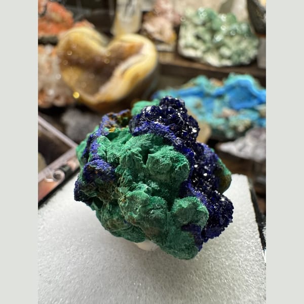 Azurite Rosettes on Malachite 3.5 cm — alternate view