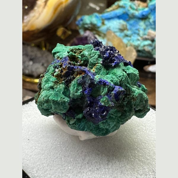 Azurite Rosettes on Malachite 3.5 cm — alternate view