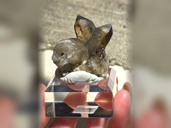 Namibia Smoky Quartz with Specular Hematite 28.2 g Crystal Cluster Specimen — complete view