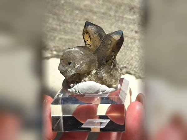 Namibia Smoky Quartz with Specular Hematite 28.2 g Crystal Cluster Specimen — alternate view