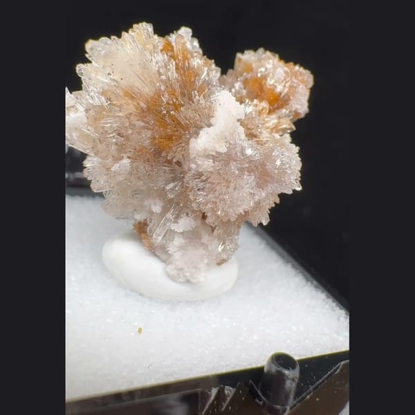 Cream Creedite Flower Cluster 2.5 cm — complete view