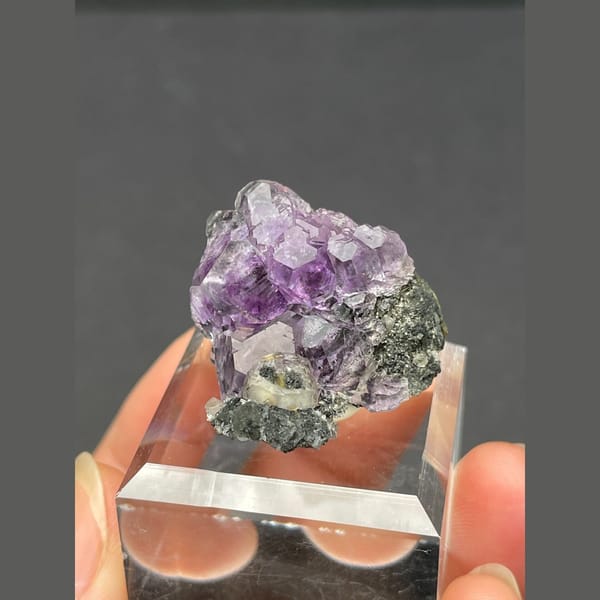 Tanzanite blue-violet fluorite on dark matrix from Fujian — complete view
