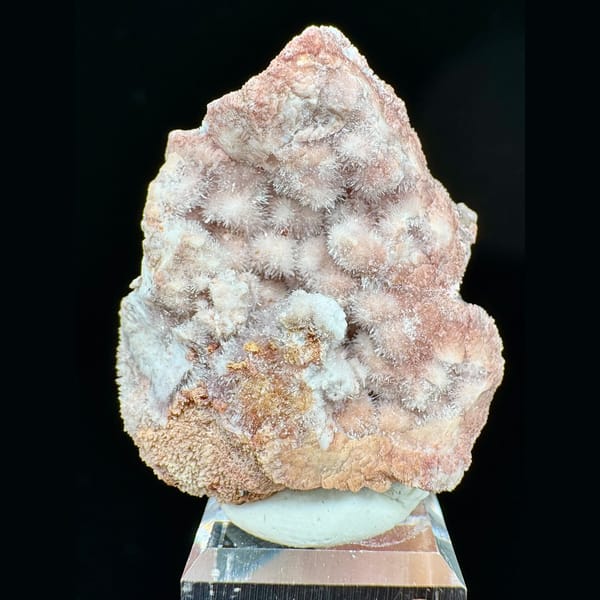 Pink Fuzzy Gypsum Nest 3.5 cm — complete view