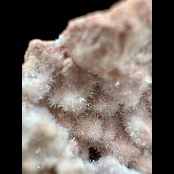 Pink Fuzzy Gypsum Nest 3.5 cm — detail view
