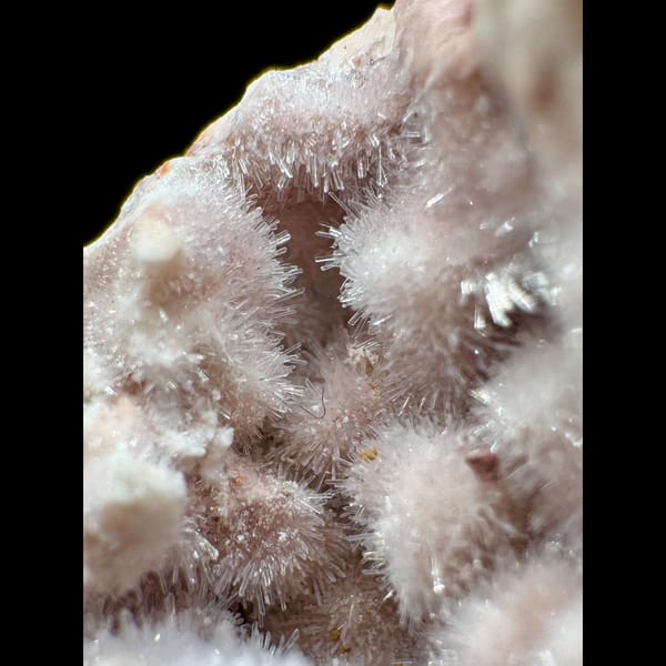 Pink Fuzzy Gypsum Nest 3.5 cm — detail view