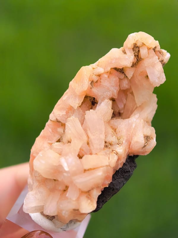 Peach Orange Zeolite Crystal Pocket — India — individual mineral specimen view 1