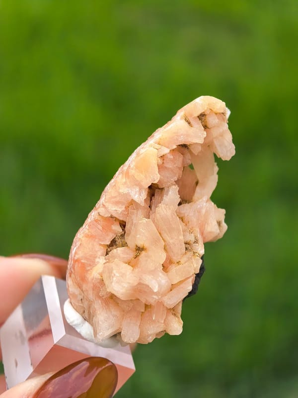Peach Orange Zeolite Crystal Pocket — India — individual mineral specimen view 2