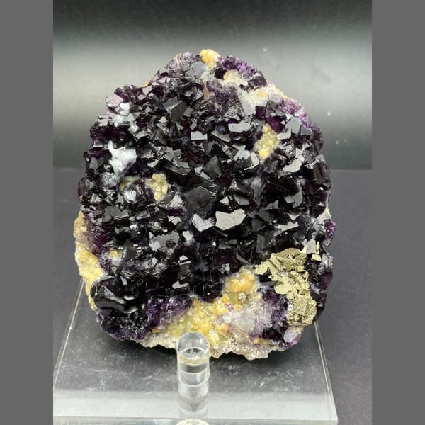 Large plate of dark purple fluorite cubes with golden pyrite from Inner Mongolia — complete view