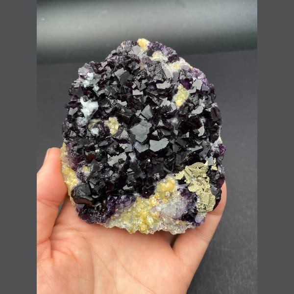 Large plate of dark purple fluorite cubes with golden pyrite from Inner Mongolia — alternate view