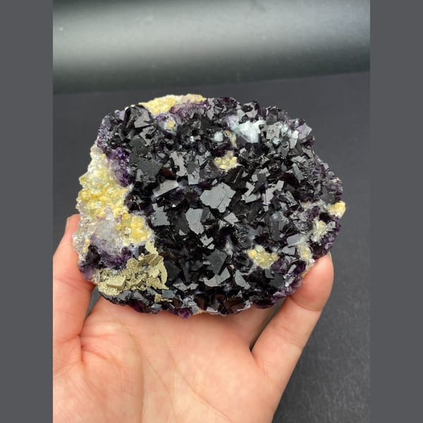 Large plate of dark purple fluorite cubes with golden pyrite from Inner Mongolia — alternate view