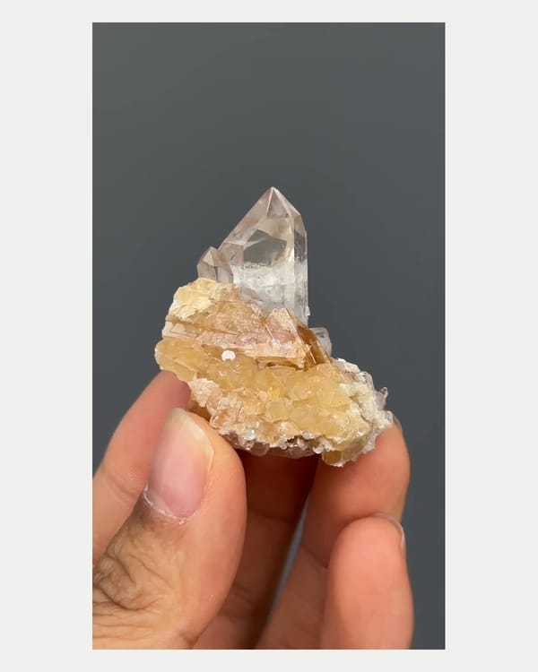 Complete front view of quartz with scheelite crystal