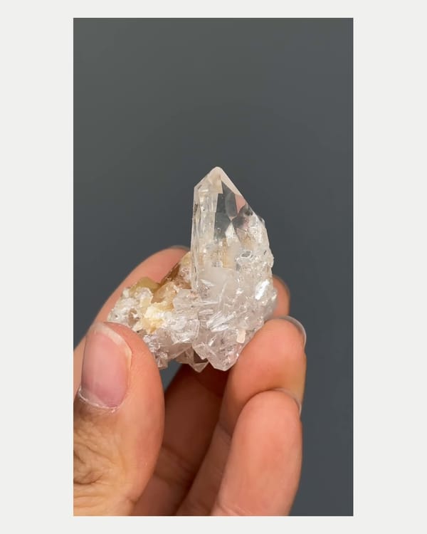 Complete left oblique view of quartz with scheelite crystal