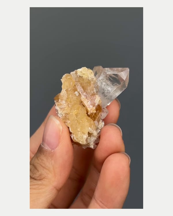 Complete reverse view of quartz with scheelite crystal