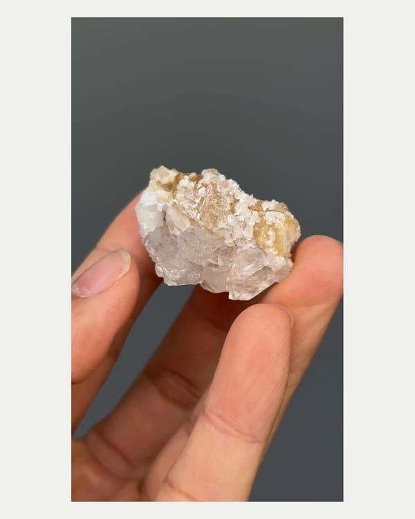 Complete right oblique view of quartz with scheelite crystal