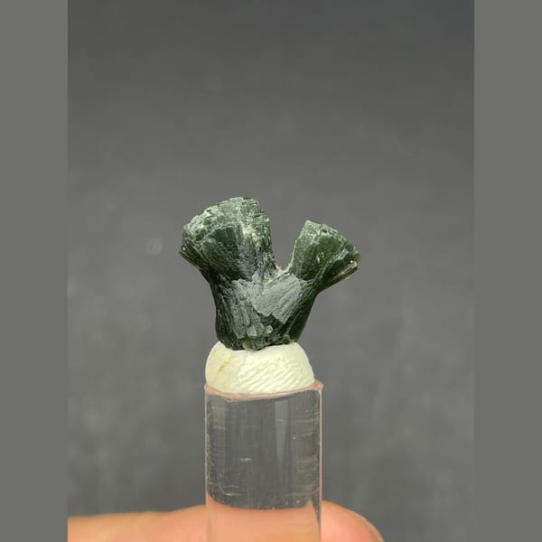 Small dark green radiating prehnite bowtie from Morocco — complete view