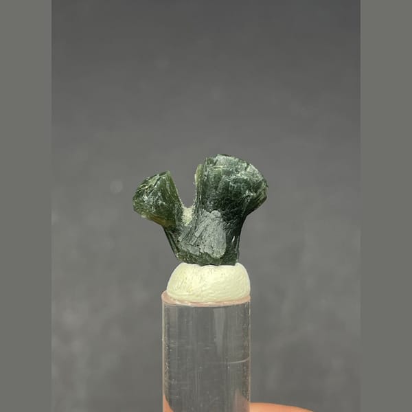 Small dark green radiating prehnite bowtie from Morocco — alternate view