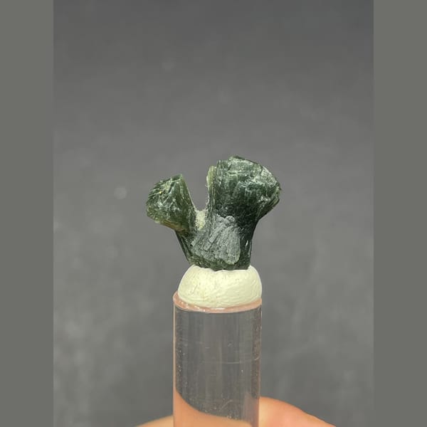 Small dark green radiating prehnite bowtie from Morocco — detail view