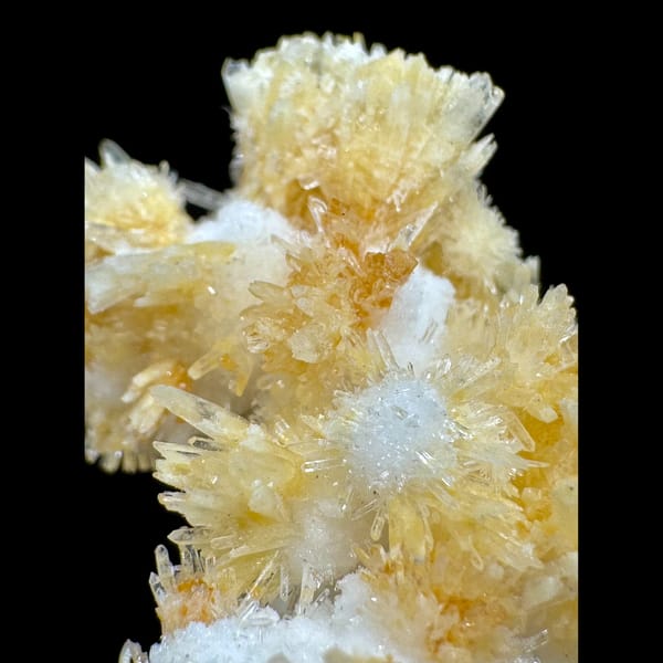 Yellow Creedite Sprays on White Base 7.0 cm — alternate view