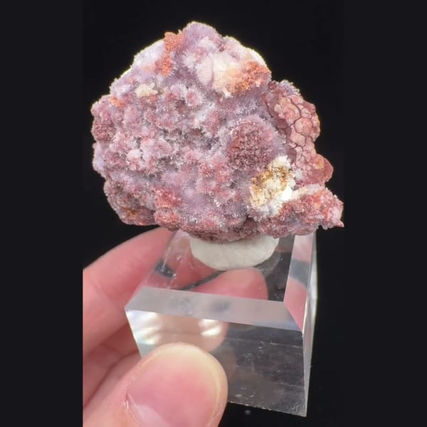 Pink-Purple Creedite Spray 4.0 cm — complete view