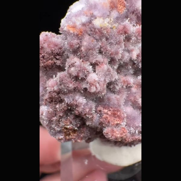 Pink-Purple Creedite Spray 4.0 cm — alternate view