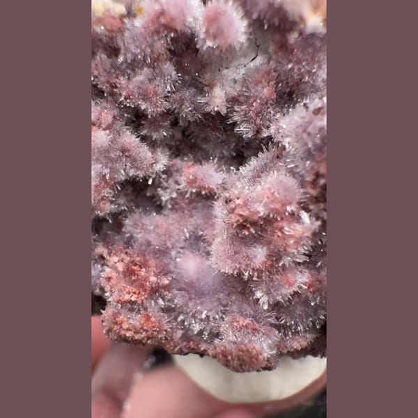 Pink-Purple Creedite Spray 4.0 cm — alternate view