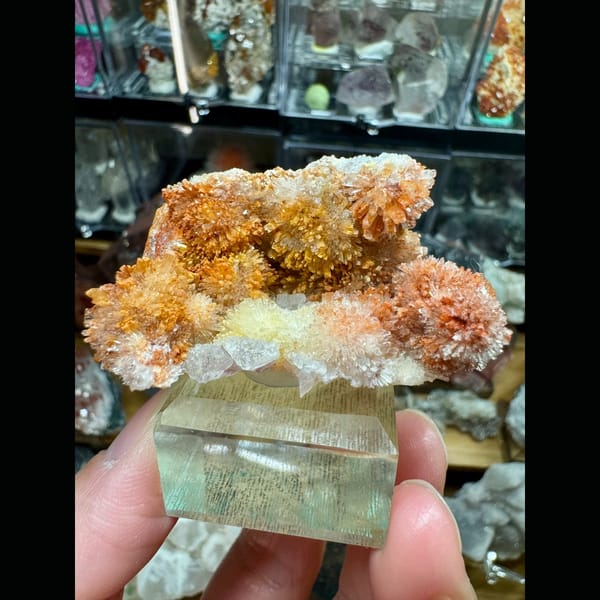 Orange-Yellow Creedite Flower Cluster 9.0 cm — complete view