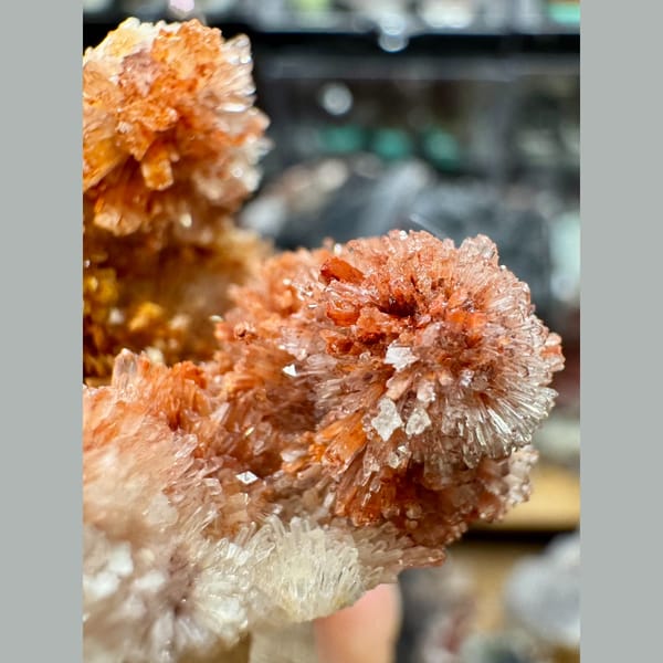 Orange-Yellow Creedite Flower Cluster 9.0 cm — alternate view