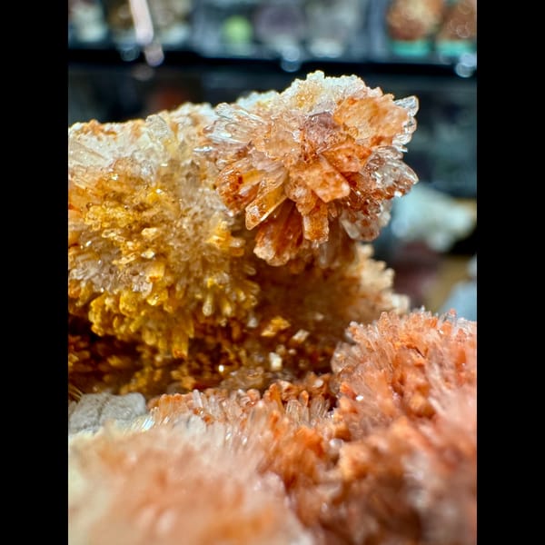 Orange-Yellow Creedite Flower Cluster 9.0 cm — alternate view
