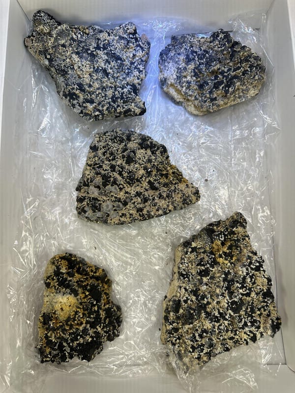 Five-Piece Chalcopyrite Lot, reverse side