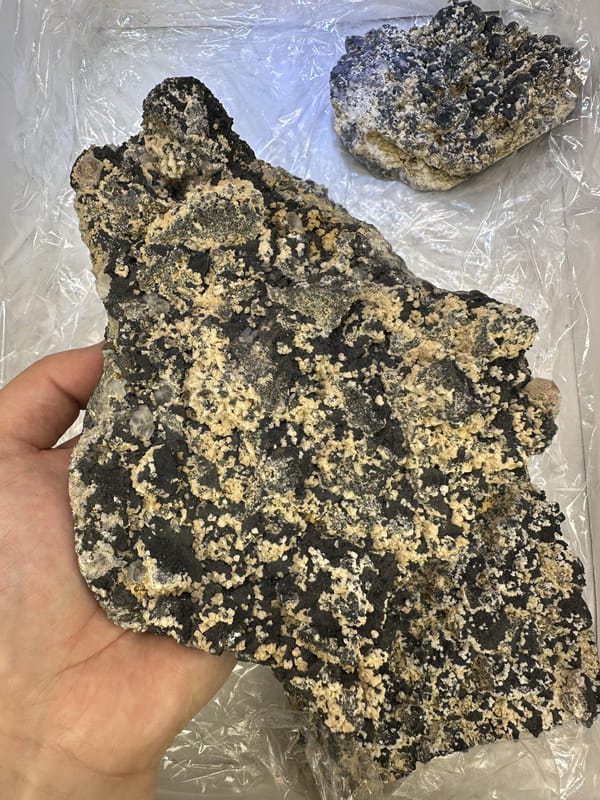 Five-Piece Chalcopyrite Lot, shown in hand for scale