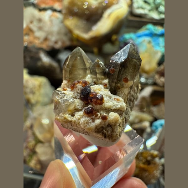 Crystal of smoky quartz with garnet, one-of-a-kind specimen, photo 3 of 6