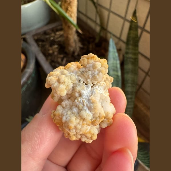 Off-white gypsum popcorn aggregate from Guizhou, natural mineral for display, photo 5 of 5