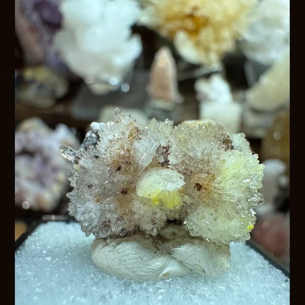 Flower cluster of white creedite, one-of-a-kind specimen, photo 3 of 5