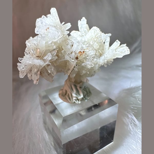 White creedite flower crystal cluster, natural mineral specimen, photo 1 of 5