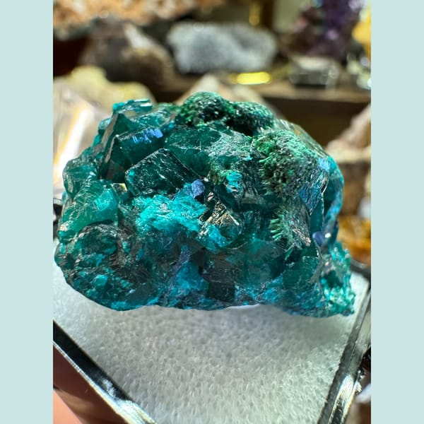 Dioptase crystals from Congo, 3.5 cm across, raw mineral specimen, photo 2 of 3