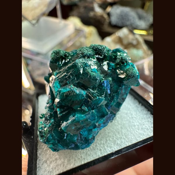 Crystals of emerald green dioptase from Congo, one-of-a-kind specimen, photo 3 of 3