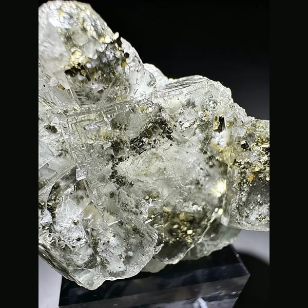 Clear glassy fluorite with golden pyrite cubes — alternate view