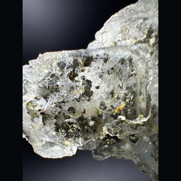 Clear glassy fluorite with golden pyrite cubes — detail view